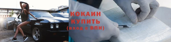стаф Балахна