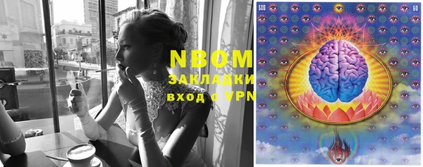 стаф Балахна