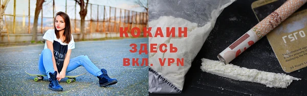 индика Арсеньев